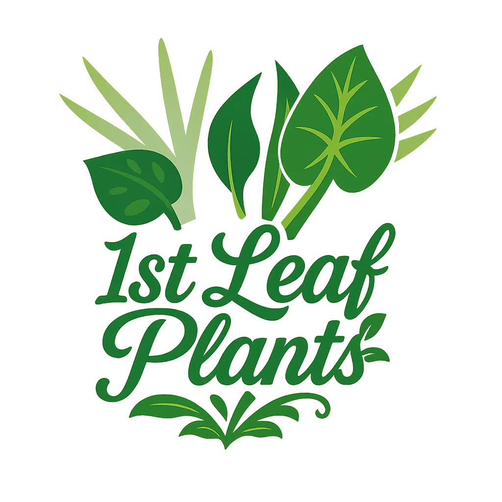 1st Leaf Plants ロゴ